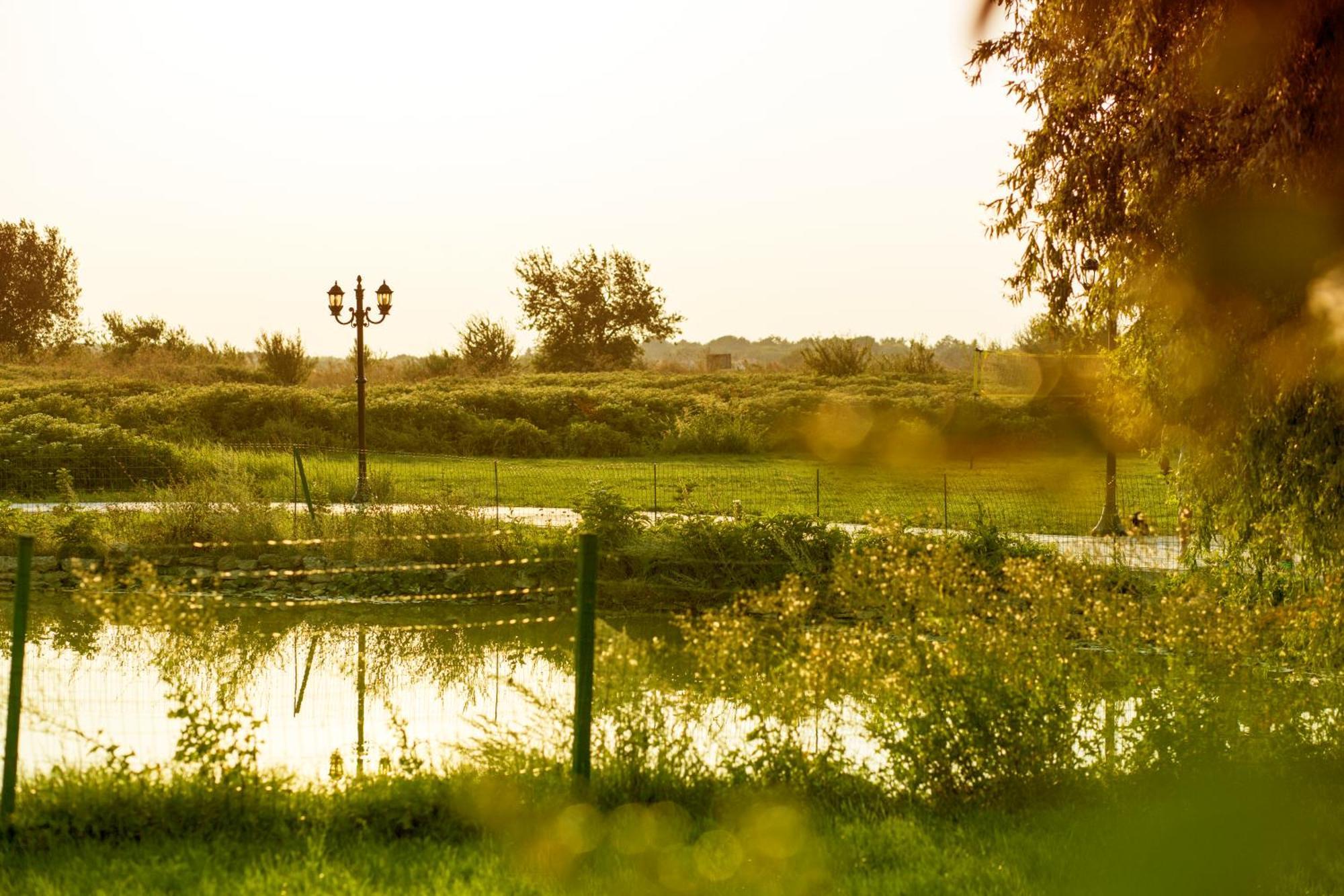 Kaliakria Resort Topola Εξωτερικό φωτογραφία